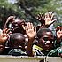 Memoria de Actividades Smile is a Foundation 2005